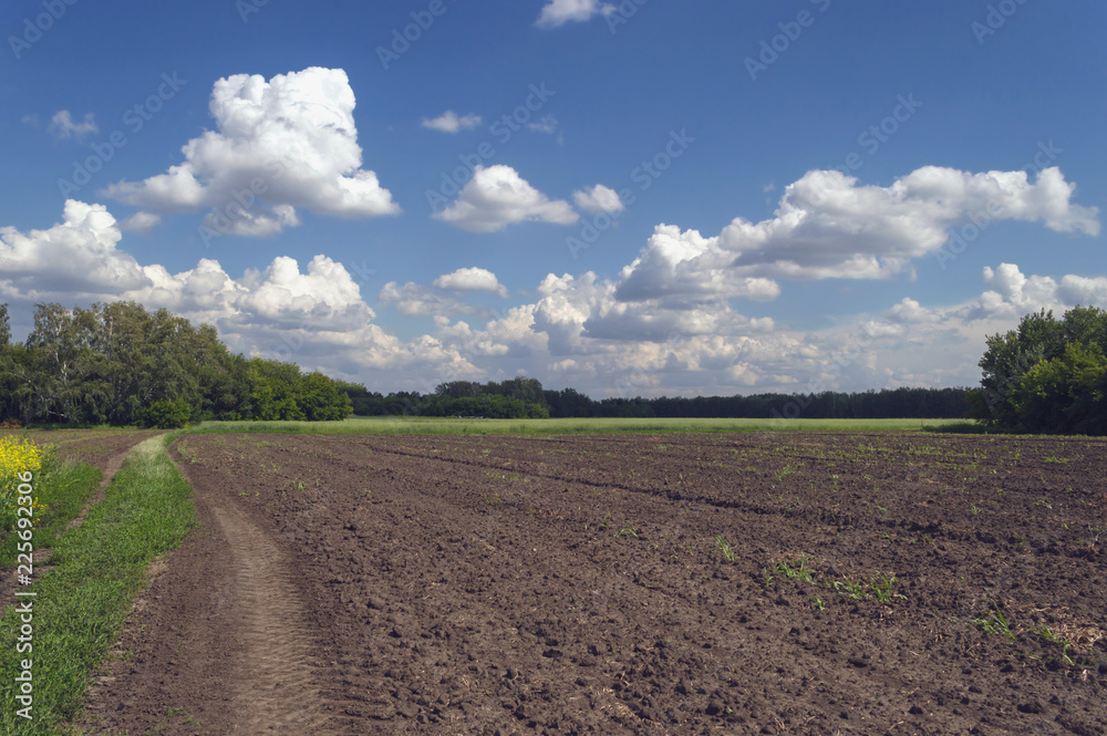 arable land under fluffly clouds
