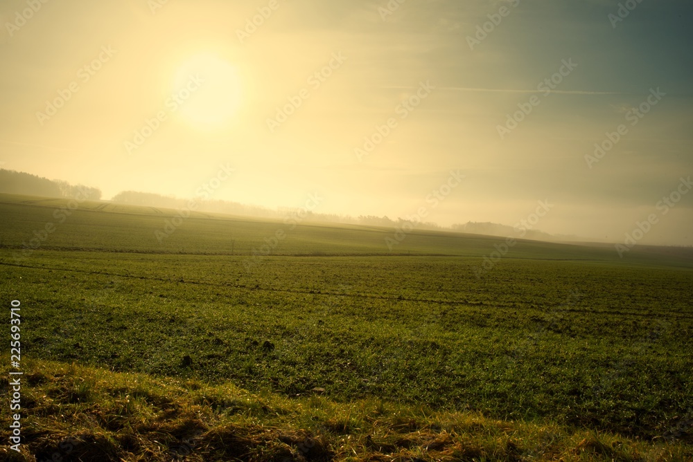 Landschaft und Saat im Morgennebel
