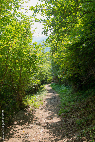 Road through the mountain in the valley of aran photo