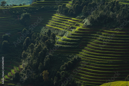 landscape rice fields on terraced of Mu Cang Chai, YenBai, Vietnam