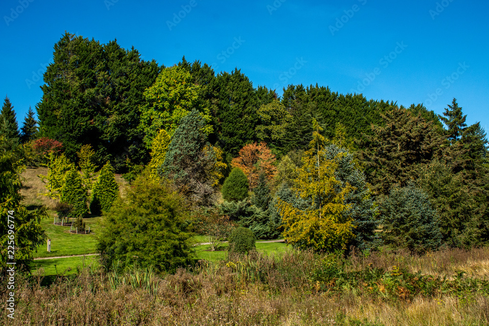 Fototapeta premium Classic Autumnal Background