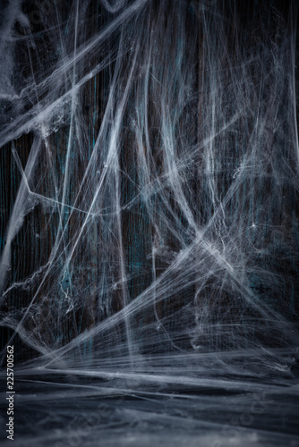 Halloween wooden background with spider net