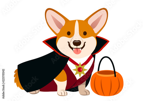 Corgi dog wearing vampire Halloween costume with black cape, fangs, white shirt and dark red vest, with pumpkin trick or treat bucket. Cute happy corgi puppy sitting and smiling with tongue out.