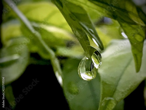 Closeup Droplet, environment concept 