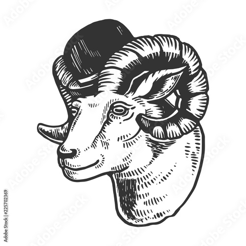 Ram animal in bowler hat engraving vector illustration. Scratch board style imitation. Black and white hand drawn image.