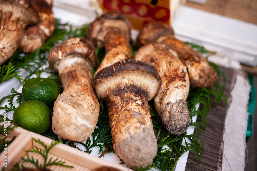 Matsutake Mushroom is a highly sought mycorrhizal mushroom. Much love