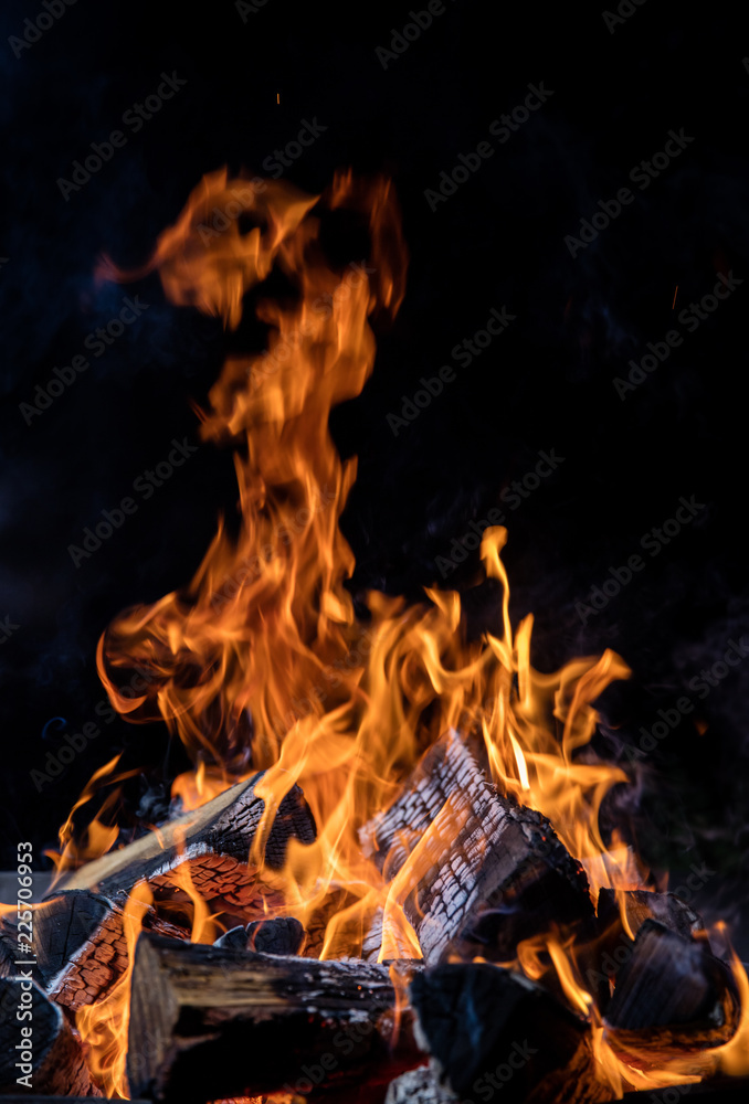 Fototapeta premium Burning wooden logs in fire, campfire on black