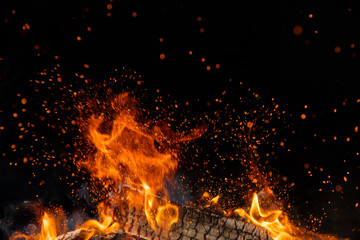 Burning wooden logs in fire, campfire on black