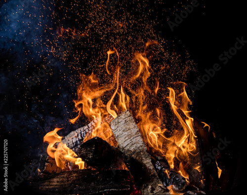 Canvastavla Burning wooden logs in fire, campfire on black