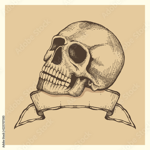 Human skull sketch with ribbon banner - vector vintage style label or poster illustration