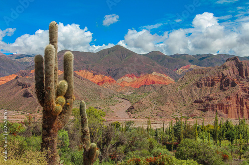 Colorful mountains in Tilcara, Quebrada de Humahuaca, Province of Jujuy, Argentina, with a close-up of a cardon, a typical plant of the region, and a cloudy sky, photo