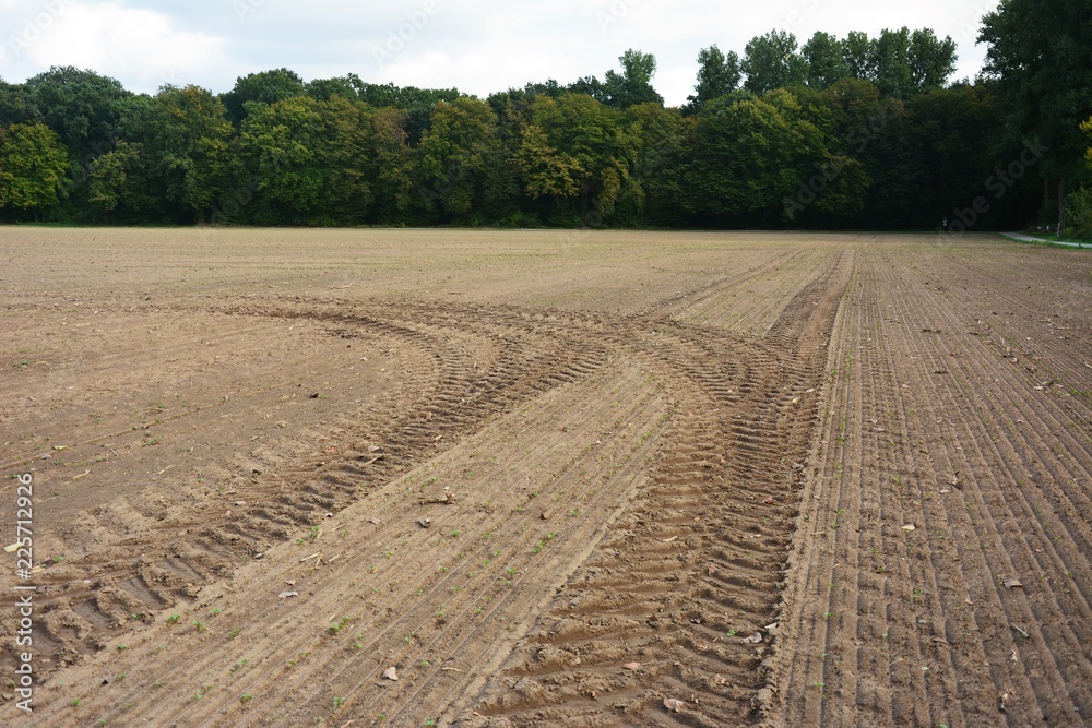 Spuren von Traktorreifen auf dem herbstlichen Feld Spuren von Traktorreifen auf dem herbstlichen Feld