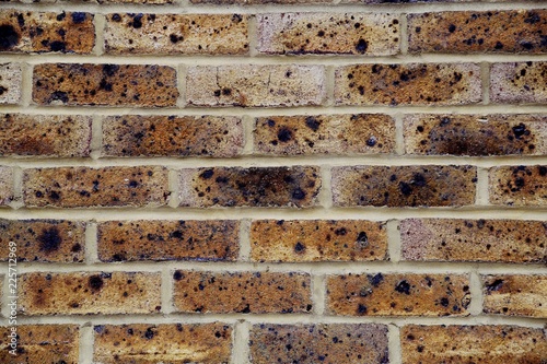 Brick wallpaper wall. Brick background with copy space