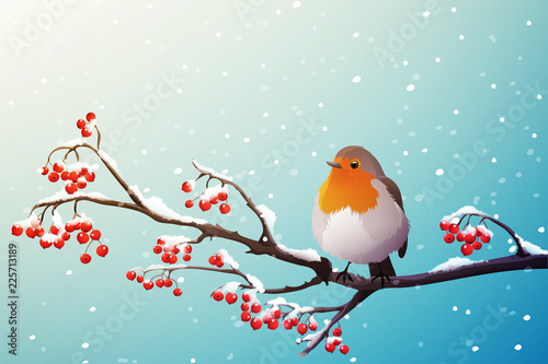 Red robin perched on branch with red berries. Winter season with falling snow. Vector illustration isolated on blue background.