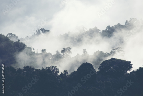 Landscape view of mountains layers, tropical forest natural field