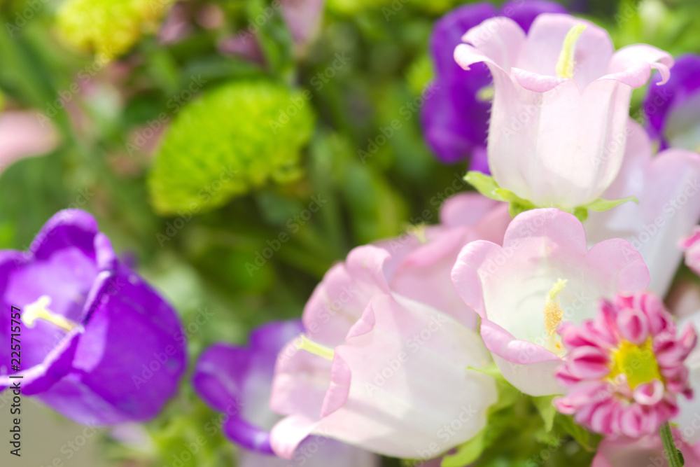 Obraz premium Bunter Blumenstrauß mit Glockenblumen