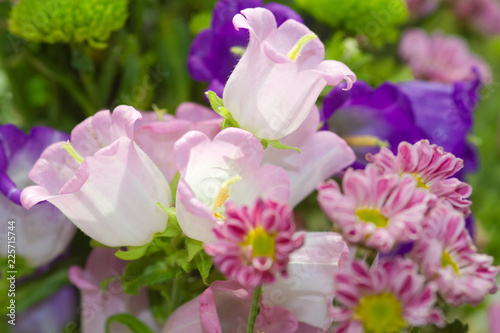 Bunter Blumenstrauß mit Glockenblumen