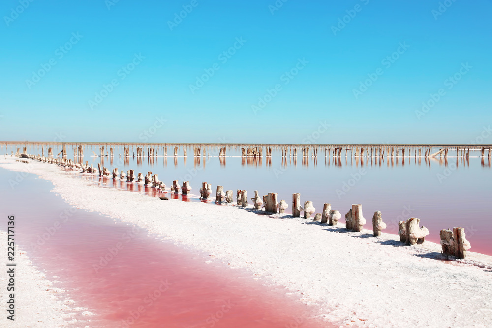Obraz premium Beautiful view of pink lake on summer day