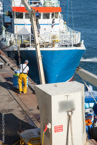 Déchargement d'un bateau de pêche dans le port du Guilvinec (Finistère) photo