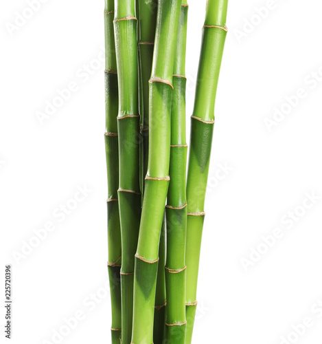 Fototapeta Naklejka Na Ścianę i Meble -  Beautiful green bamboo stems on white background
