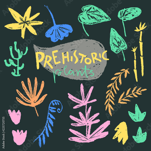 Vector collection of hand drawn textured prehistoric plants. Nai