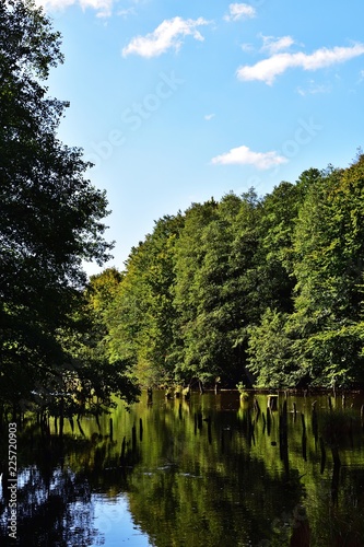 Hubertlaki See im Bakony, Ungarn