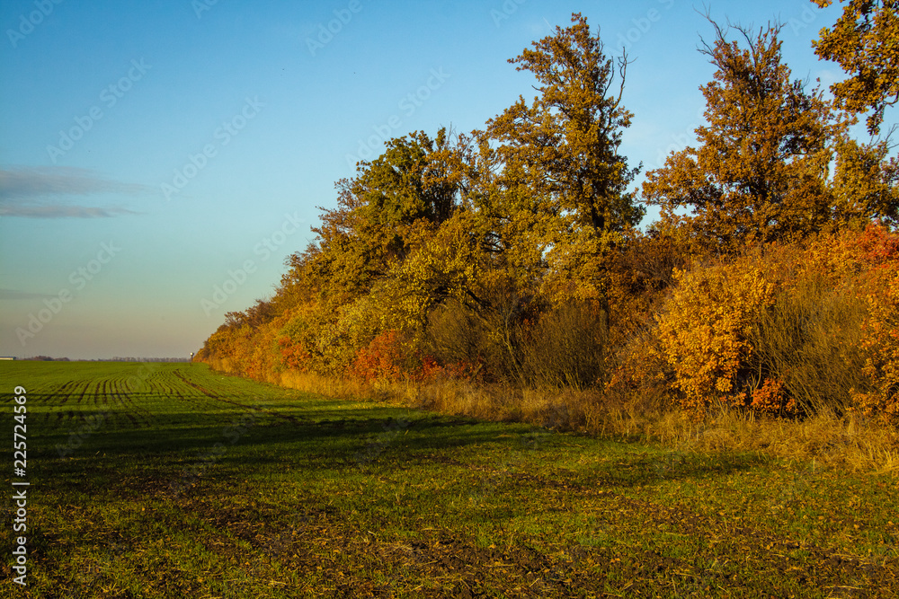 Naklejka premium Autumn