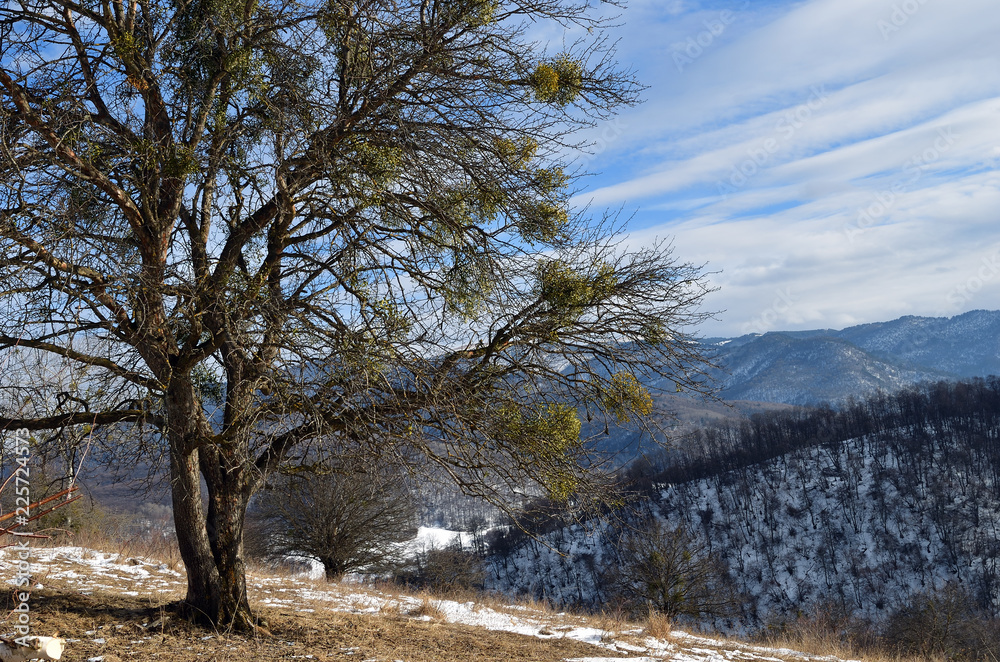 View of the Caucasus mountains