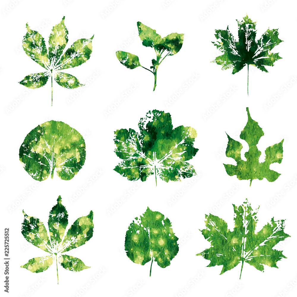 Green watercolor leaves imprints isolated on white background vector Green watercolor leaves imprints isolated on white background vector