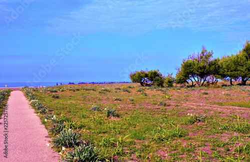 marine panorama of capaccio paestum Cilento Italy photo