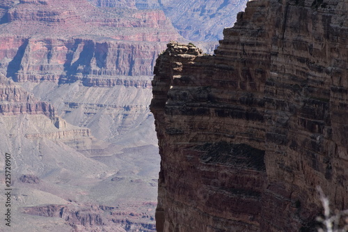 Grand Canyon Nature