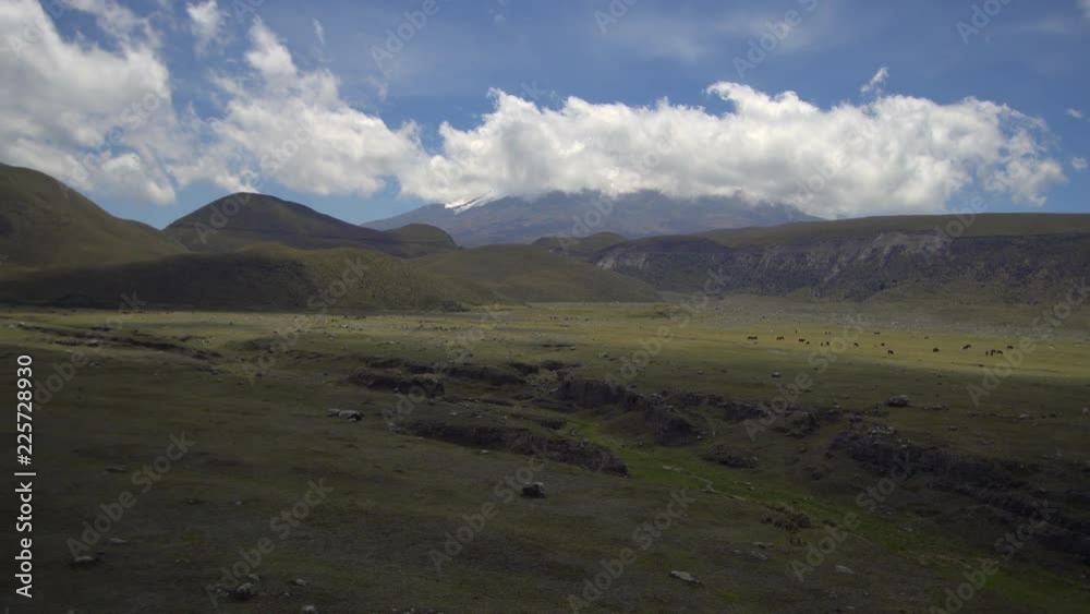 Looking towards Cotopaxi Volcano, Ecuador from the El Salitre Archaeological site with many animals grazing on the paramo. The hummocks in mid distance are volcanic debris avalanche deposits. Looking towards Cotopaxi Volcano, Ecuador from the El Salitre Archaeological site with many animals grazing on the paramo. The hummocks in mid distance are volcanic debris avalanche deposits.