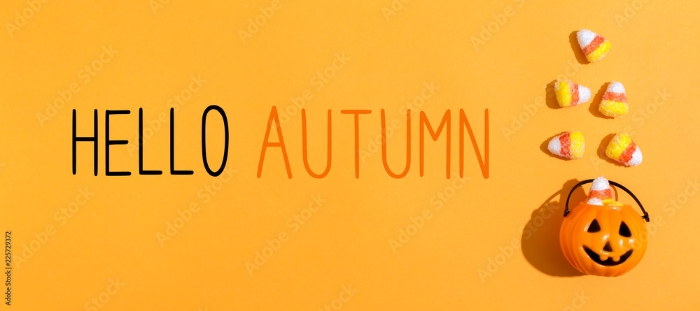 Naklejka premium Hello Autumn message with pumpkin overhead view on a solid color