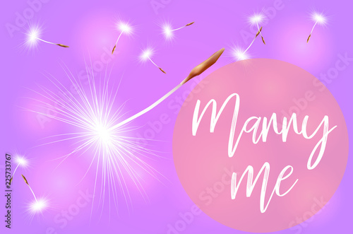 Valentine pink background with star lights and the words Marry me