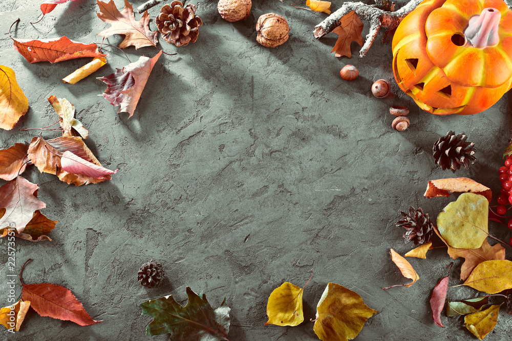 Card for holiday Halloween top view. Dry bright leaf and branch Card for holiday Halloween top view. Dry bright leaf and branch