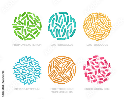 Set of probiotic bacteria in a circle. Good microorganisms colorful concept isolated on white background. Propionibacterium, lactobacillus, lactococcus, bifidobacterium, streptococcus thermophilus photo