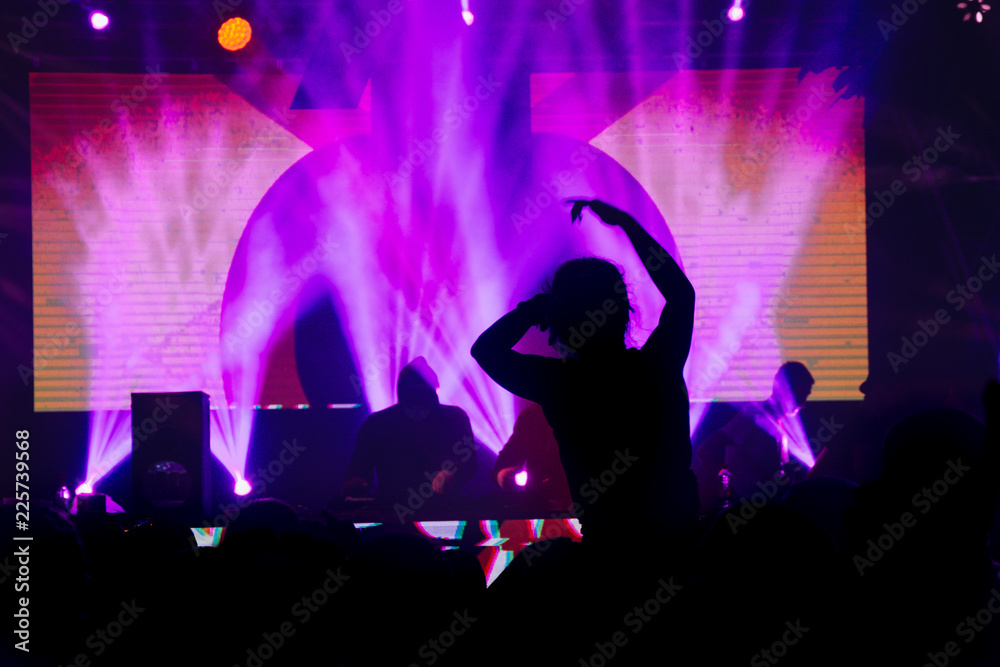 People have fun in a concert People have fun in a concert