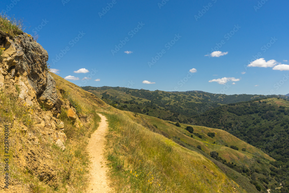 Hiking Trail on a Sunny Day