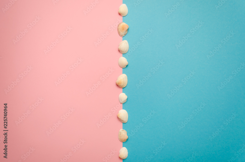 Seashells on a half lightblue and half pink horizontal backdrop Stock