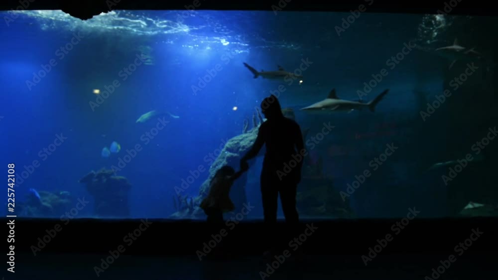 Mother With Cutie Kid Are Visiting Oceanarium on Mothers Day. The Mother Shows Girl This Beautiful and Interesting World. Fishes and Dark Water Are on Background. Mother With Cutie Kid Are Visiting Oceanarium on Mothers Day. The Mother Shows Girl This Beautiful and Interesting World. Fishes and Dark Water Are on Background.