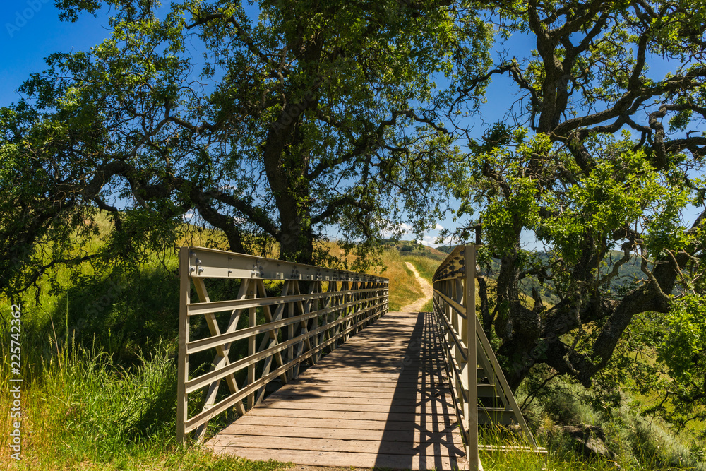 The Bridge on the Path The Bridge on the Path