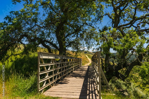 The Bridge on the Path