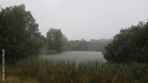 Footage of very heavy rain on a pond.
