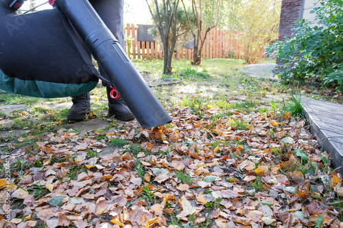 a woman cleans the leaves with a vacuum cleaner