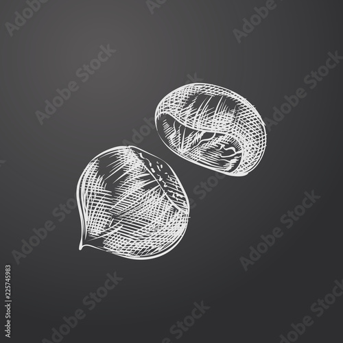 Hand Drawn Chestnut Sketch Symbol isolated on chalkboard. Vector Nut Element In Trendy Style