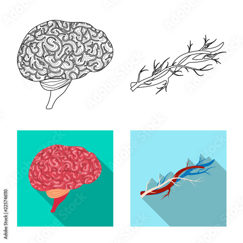 Isolated object of body and human symbol. Set of body and medical vector icon for stock.
