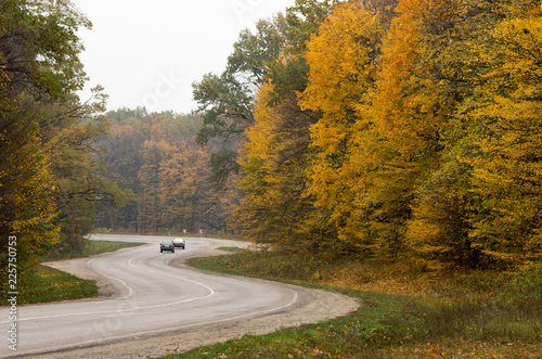 A winding road in the autumn forest. Trees with yellowed leaves by the road.