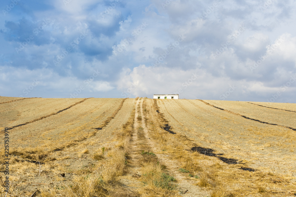 Obraz premium Camino rural cuesta arriba entre campos de trigo cosechado, una casa sobre la colina