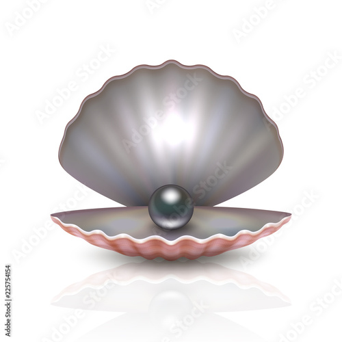 Vector realistic 3d beautiful natural opened pearl shell with black pearl inside icon close-up isolated on white background with reflection. Design template of seashells for graphics. Front view