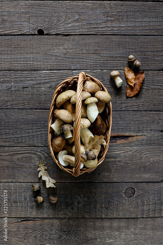 Organic porcini mushroom. Seasonal forest mushroom, Italian and spices.